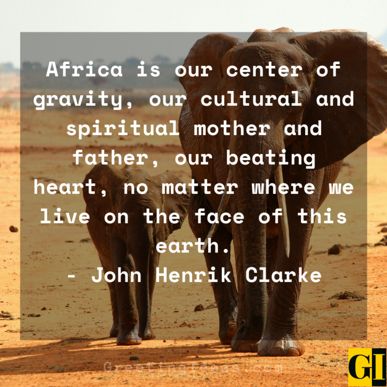 30 Beautiful Africa Quotes and Sayings on African Culture