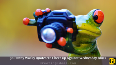 30 Funny Wacky Quotes To Cheer Up Against Wednesday Blues