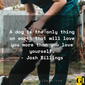 15 Cute and Best Animal Lover Quotes and Sayings