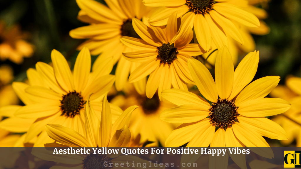 Yellow Quotes 1