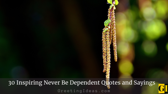 30 Inspiring Never Be Dependent Quotes and Sayings