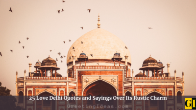 25 Love Delhi Quotes and Sayings Over Its Rustic Charm