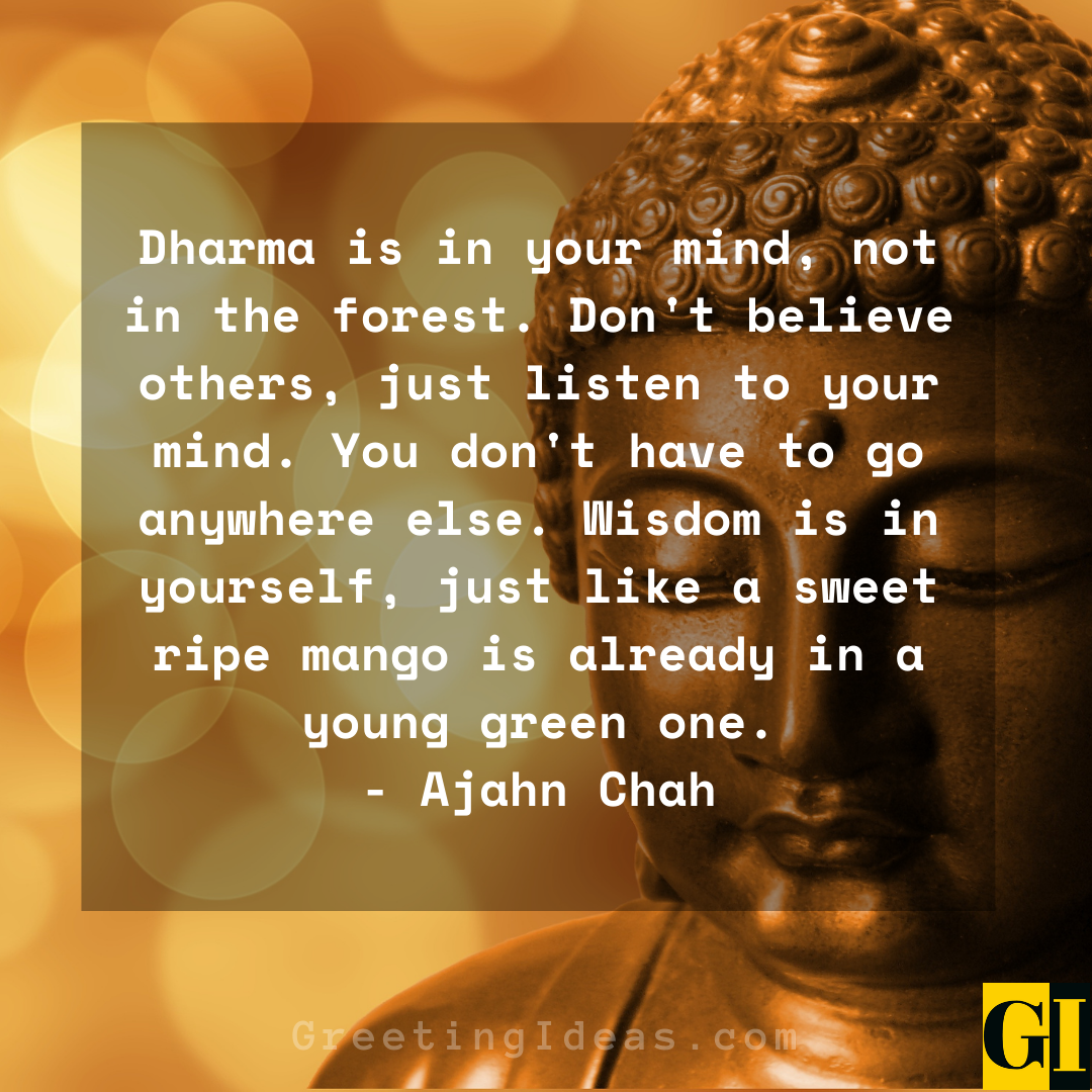 50 Best Dharma Quotes Sayings for Wisdom and Understanding