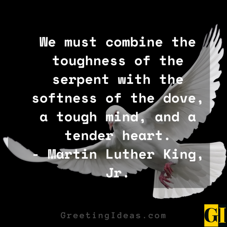 20 Insightful and Deep Meaningful Dove Quotes and Sayings