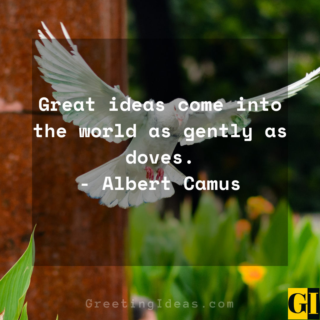 Dove Quotes Greeting Ideas 4