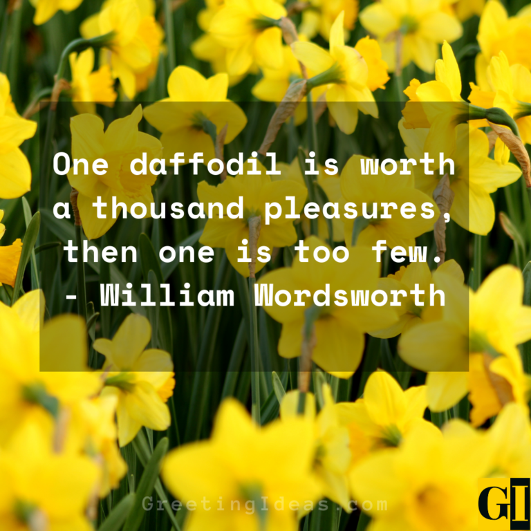 30 Lovely and Beautiful Daffodil Quotes and Sayings