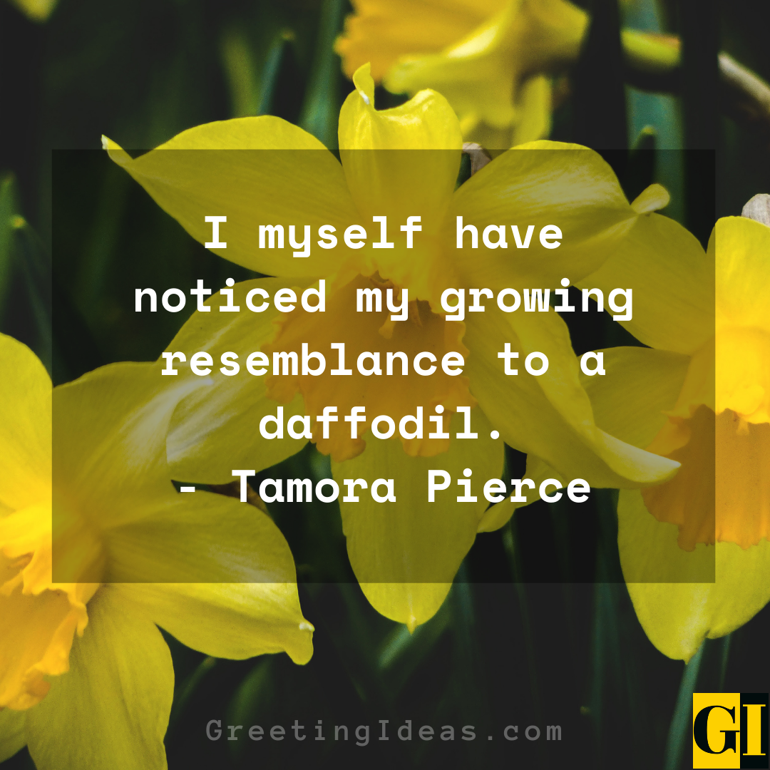 Daffodil Quotes Greeting Ideas 5