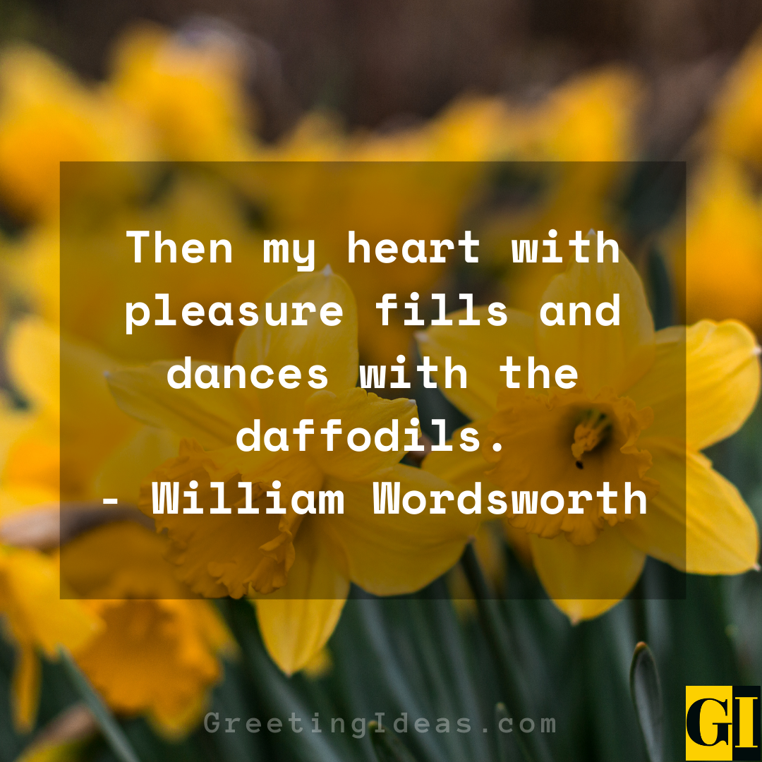 30 Lovely and Beautiful Daffodil Quotes and Sayings