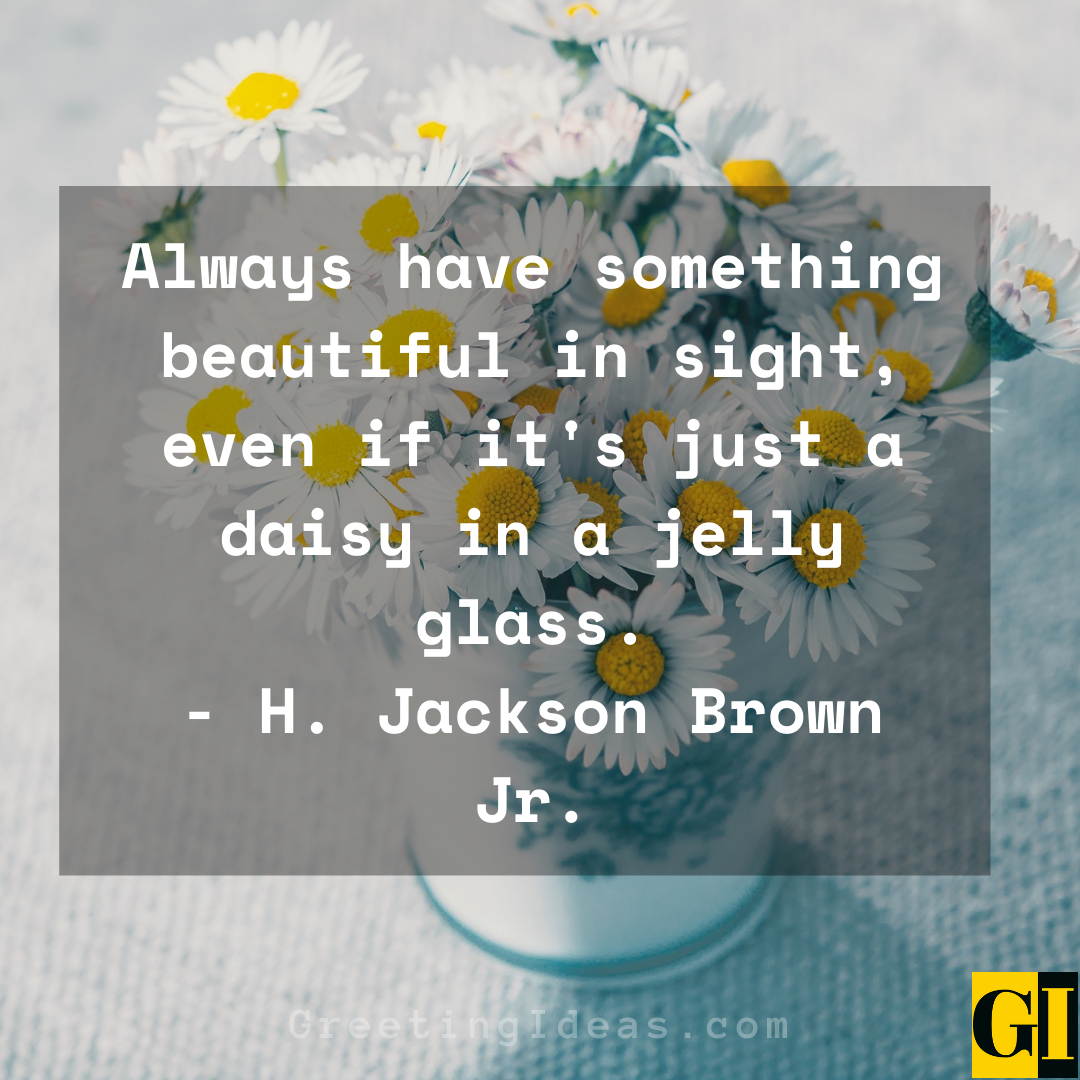 Daisy Quotes Greeting Ideas 1