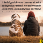 50 Top Delightful Quotes on Little Moments in Life