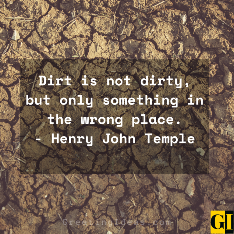 25 Famous and Insightful Dirt Quotes and Sayings