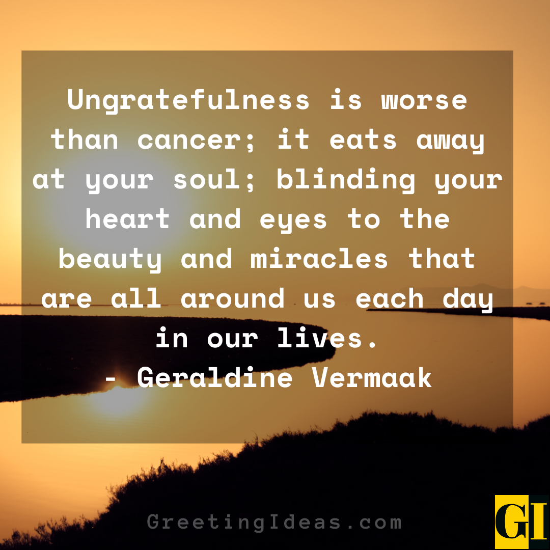 55 Inspiring Never Be Ungrateful Quotes and Sayings