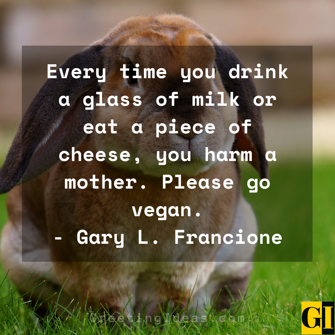 Vegan Quotes Greeting Ideas 5