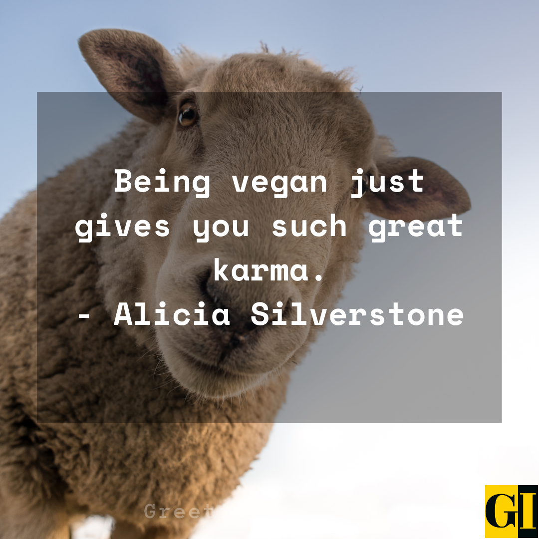 Vegan Quotes Greeting Ideas 7