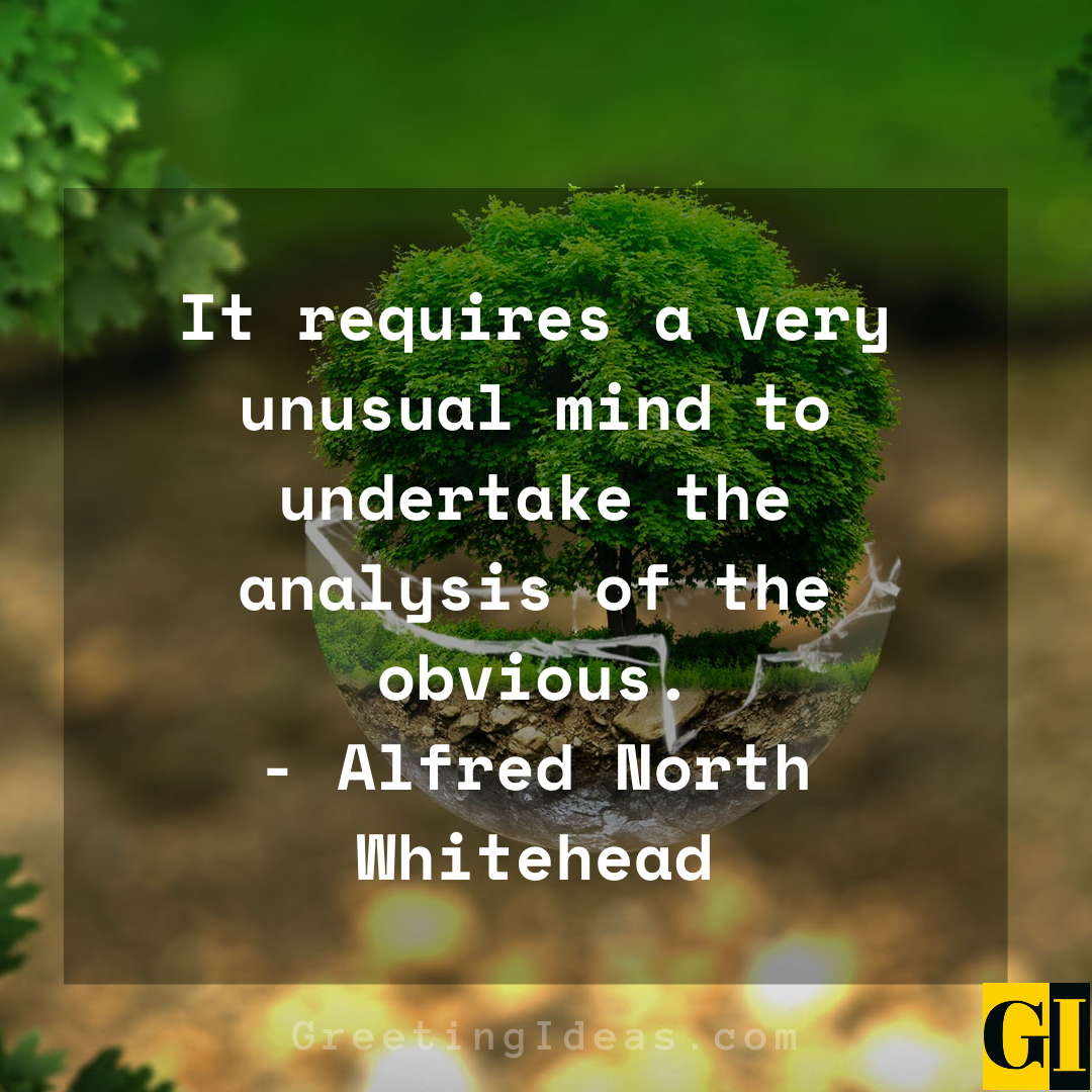 Unusual Quotes Greeting Ideas 7