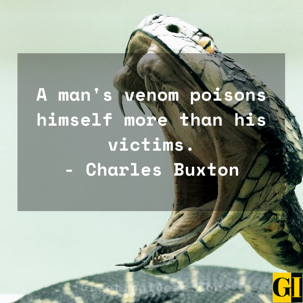 Best Venom Quotes Sayings in Popular Culture