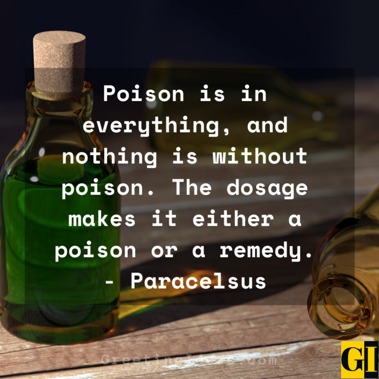 Best Venom Quotes Sayings in Popular Culture