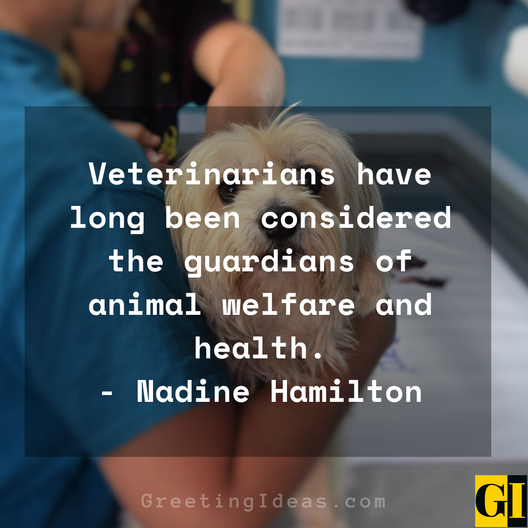 Veterinarian Quotes Greeting Ideas 1