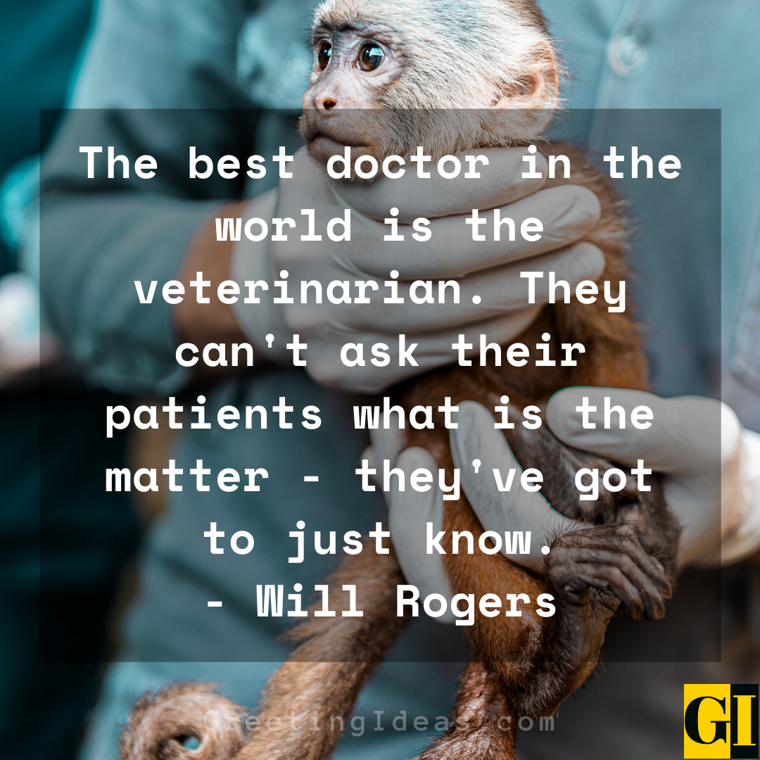 Veterinarian Quotes Greeting Ideas 2