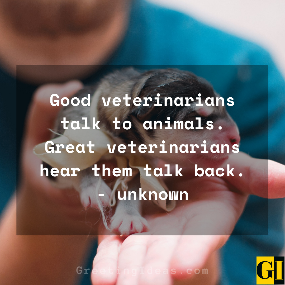 Veterinarian Quotes Greeting Ideas 3