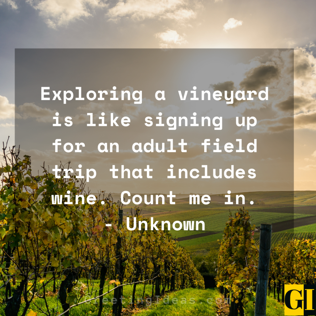 25 Inspiring Vineyard Quotes and Sayings for the Wine Lovers