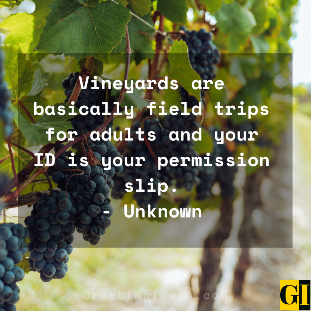 25 Inspiring Vineyard Quotes And Sayings For The Wine Lovers