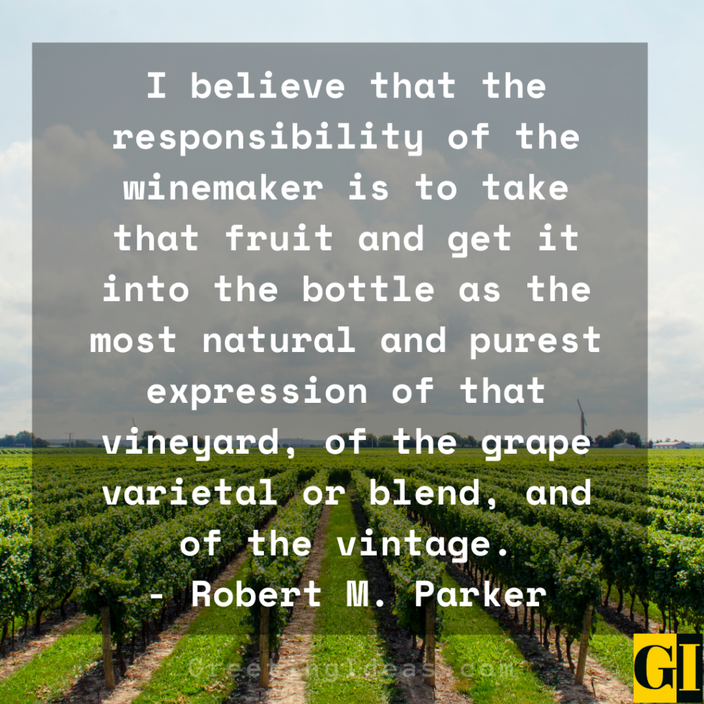 25 Inspiring Vineyard Quotes and Sayings for the Wine Lovers