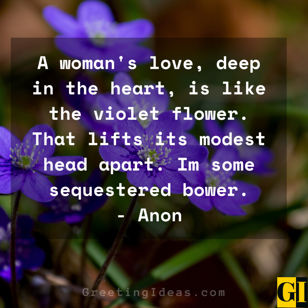 40 Best Love Violet Quotes, Sayings, and Phrases