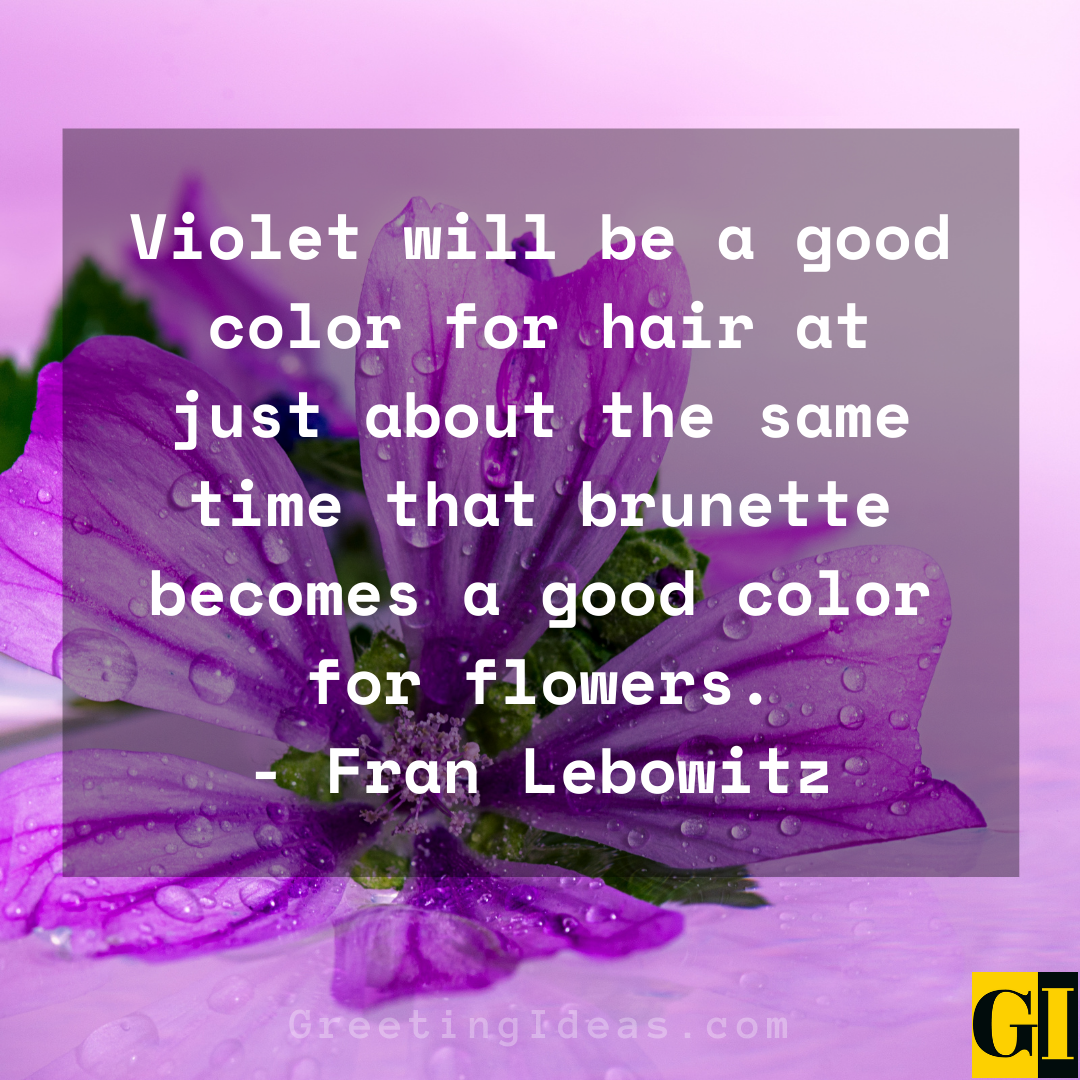 Violet Quotes Greeting Ideas 3