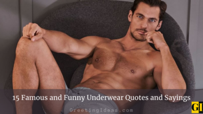 15 Famous and Funny Underwear Quotes and Sayings