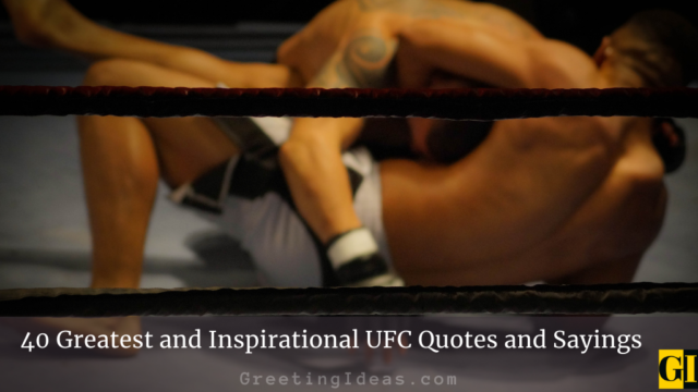 40 Greatest and Inspirational UFC Quotes and Sayings