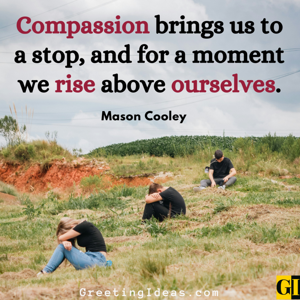 Compassion Quotes Images Greeting Ideas 5