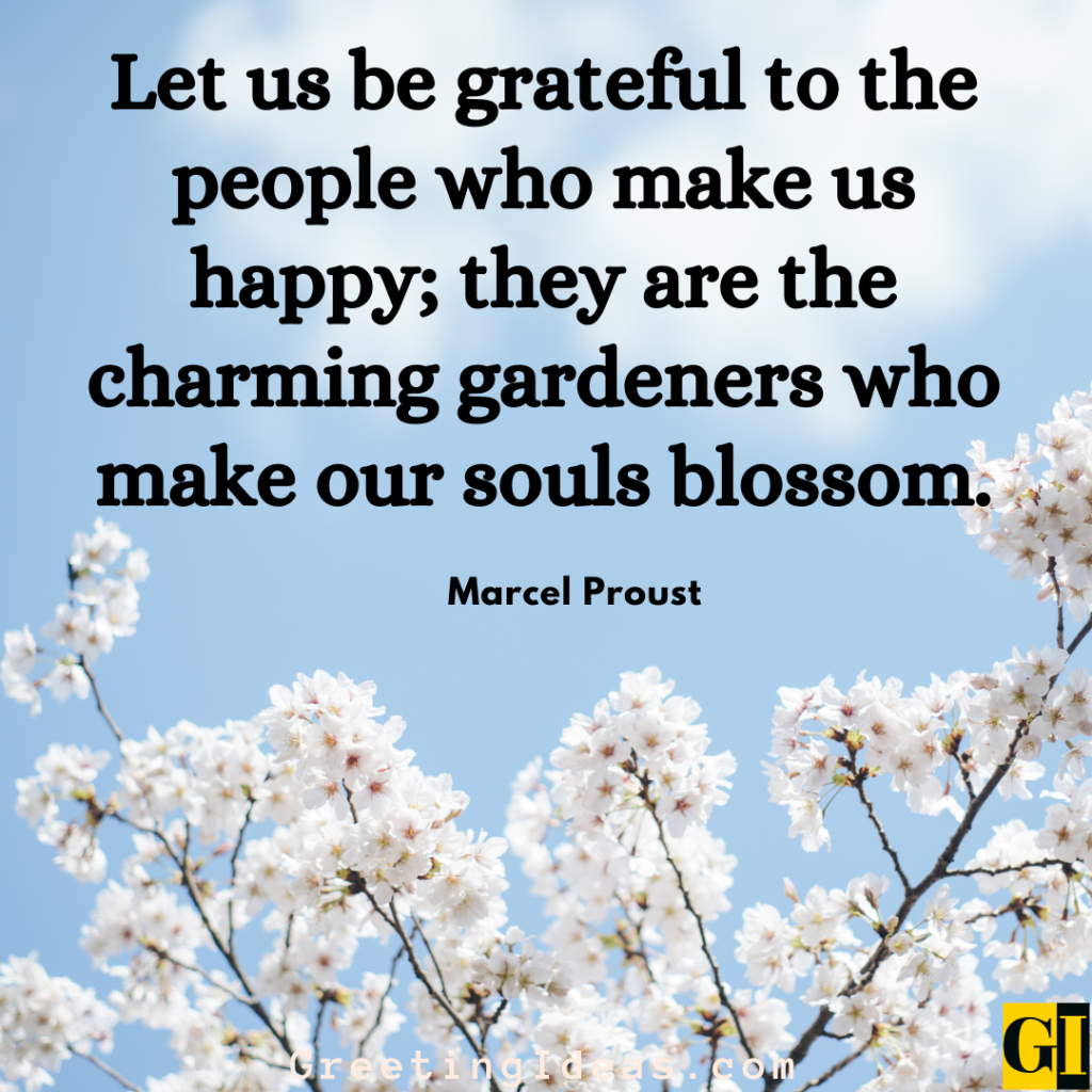 Gratitude Quotes Images Greeting Ideas 3