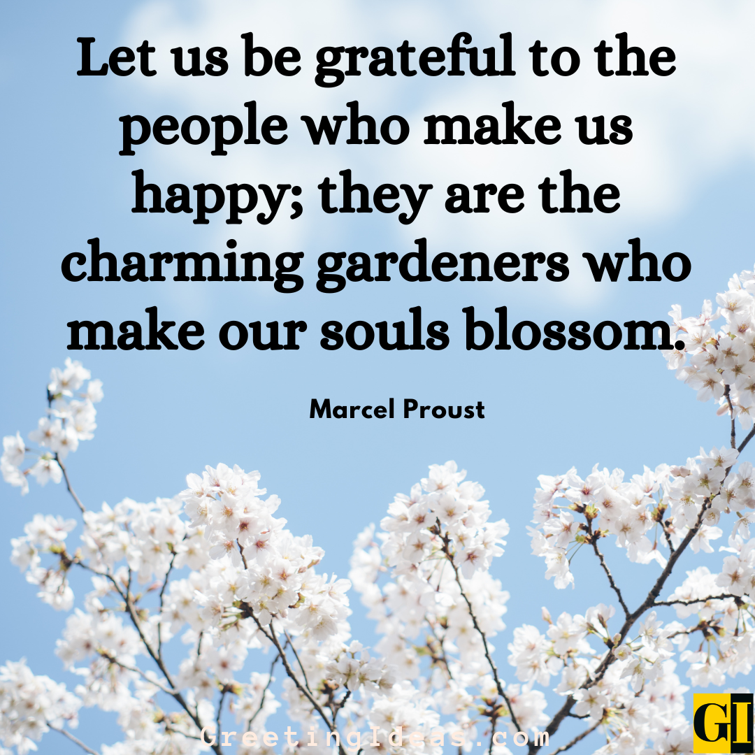 65 Inspiring Daily Gratitude Quotes For Blessed Living