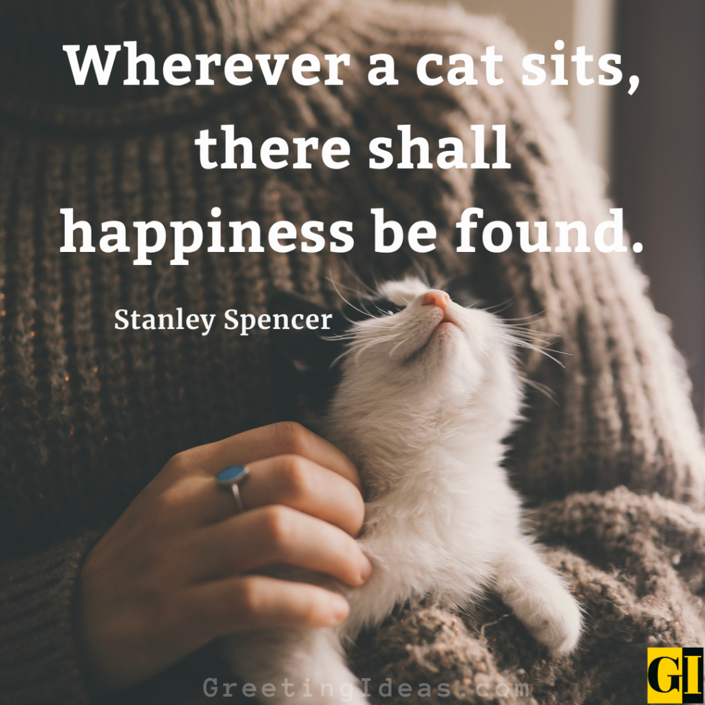 Kitty Quotes Images Greeting Ideas 2