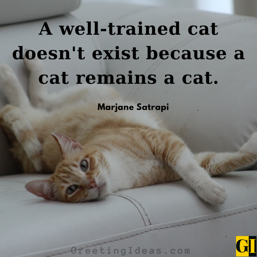 Kitty Quotes Images Greeting Ideas 5