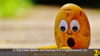 21 Top Lame Quotes And Sayings For A Lighthearted Life