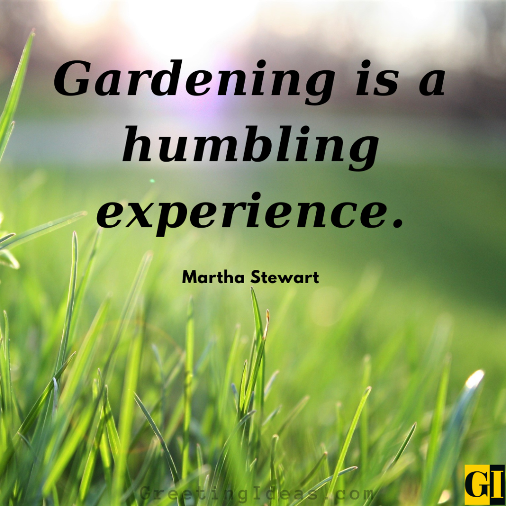 60 Inspiring Landscaping Quotes For Creative Gardening