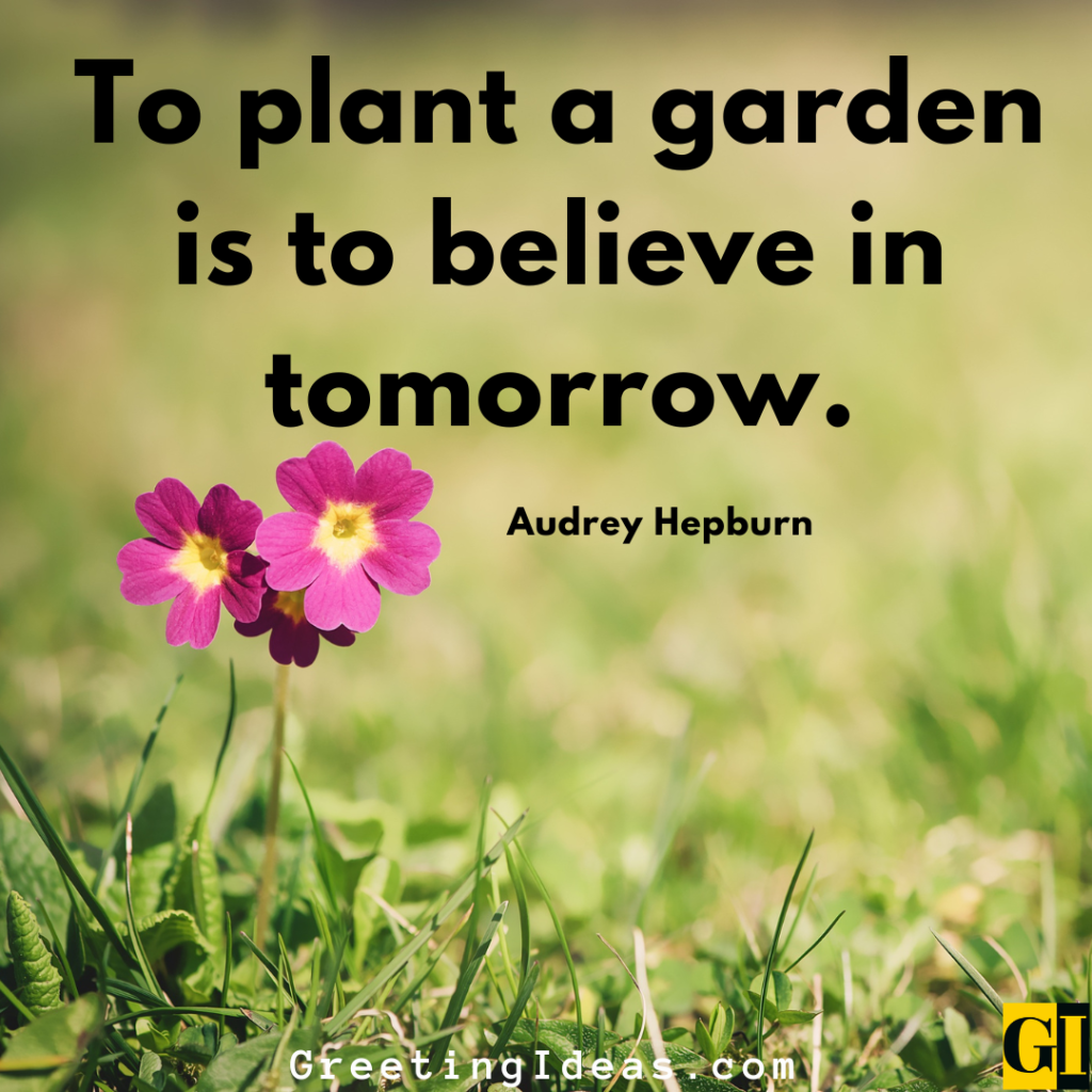 Landscaping Quotes Images Greeting Ideas 3