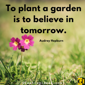 60 Inspiring Landscaping Quotes For Creative Gardening