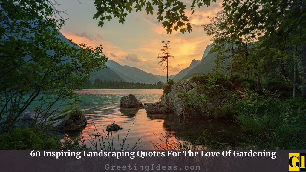 Landscaping Quotes