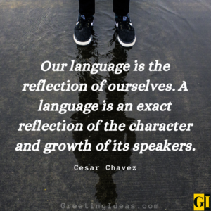 40 Inspiring Language Quotes For Those Who Love Culture