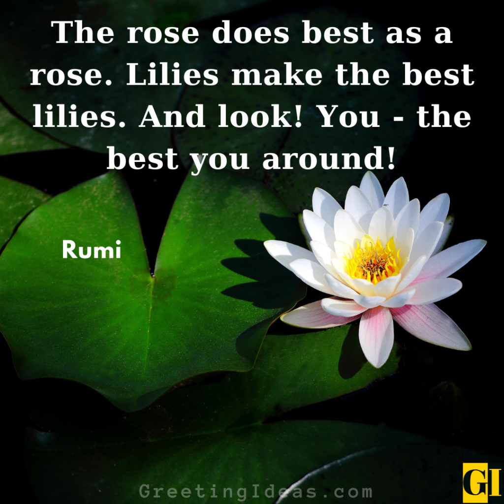 Lily Quotes Images Greeting Ideas 1