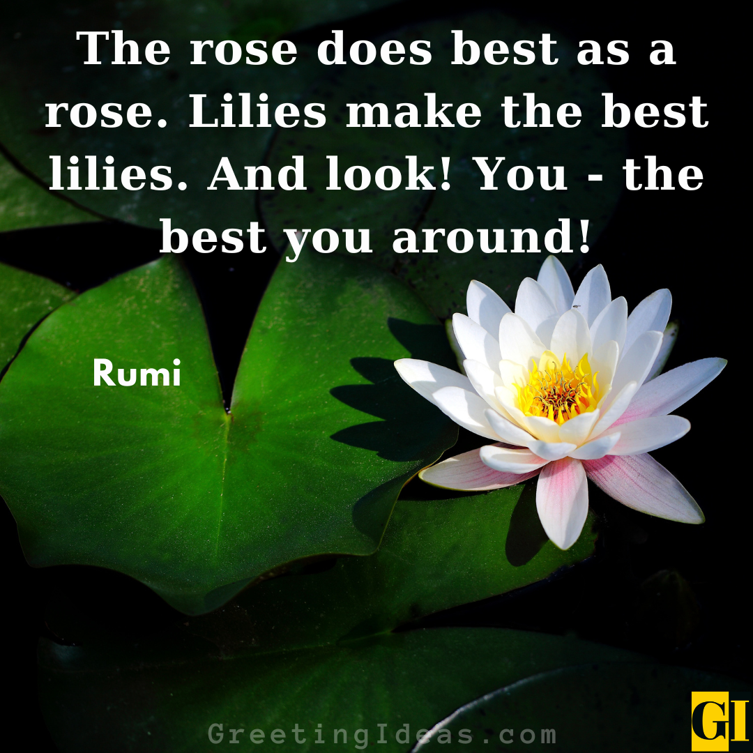 30 Best Lily Quotes And Sayings For A Pure Heart