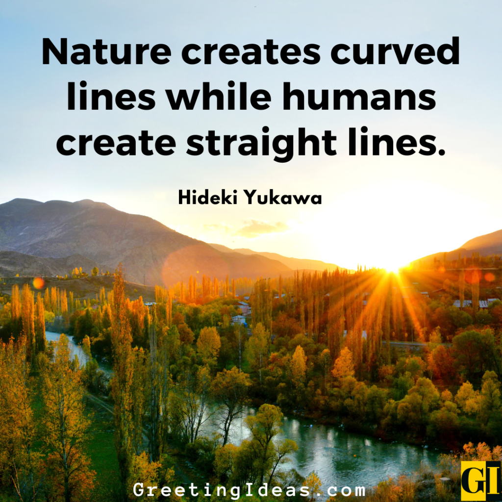 Lines Quotes Images Greeting Ideas 3 1