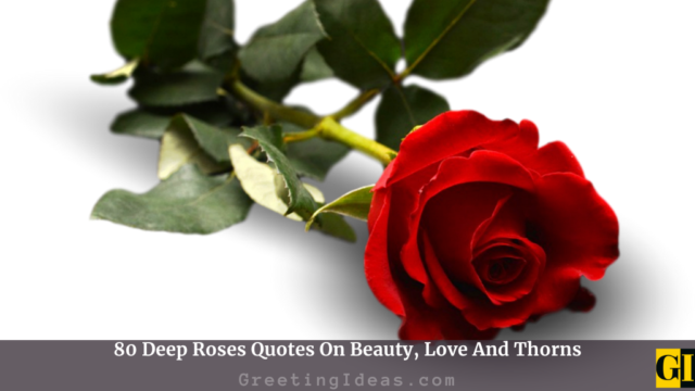 80 Deep Roses Quotes On Beauty, Love And Thorns
