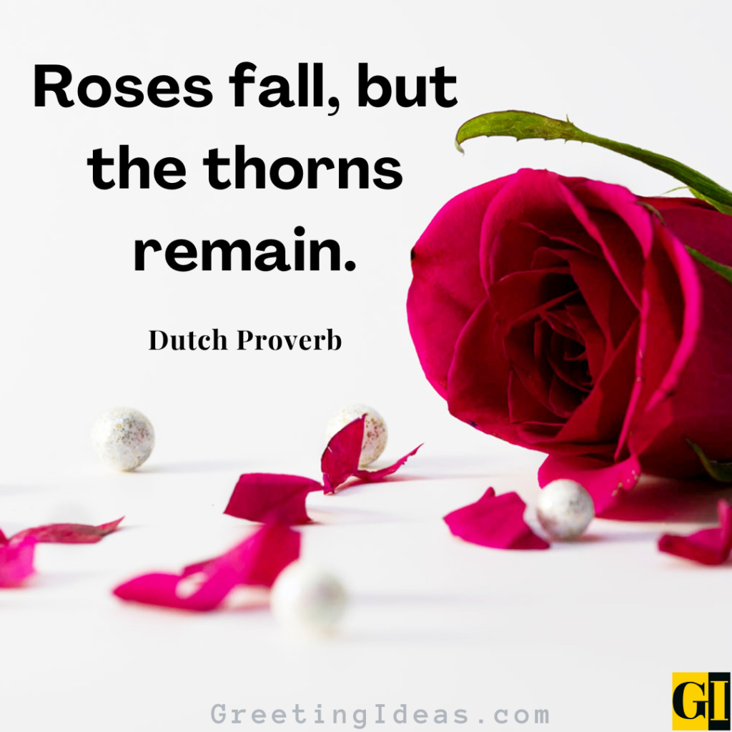 Roses Quotes Images Greeting Ideas 5