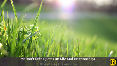 22 Don’t Ruin Quotes On Life And Relationships