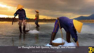 20 Thoughtful Salt Quotes, Sayings, and Phrases