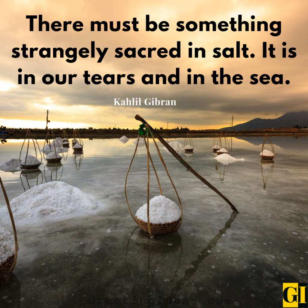 Salt Quotes Images Greeting Ideas 1